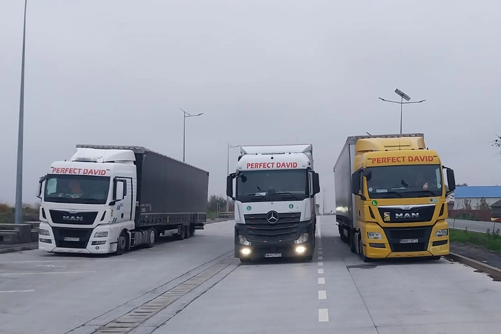O mica parte din flota de transport ce o detine Perfect David